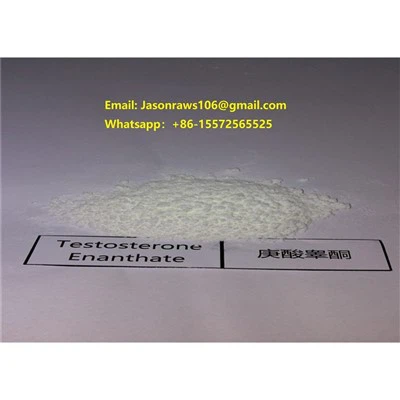 Testosterone   Enanthate