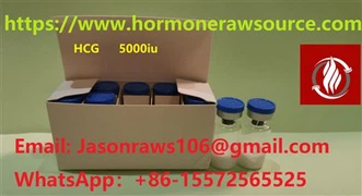HCG (Human chorionic gonadotropin) 5000iu/lọ CAS:9002-61-3
